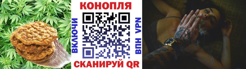 купить закладку  Волхов  Canna-Cookies конопля 