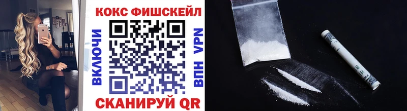 COCAIN Fish Scale  как найти наркотики  Волхов 
