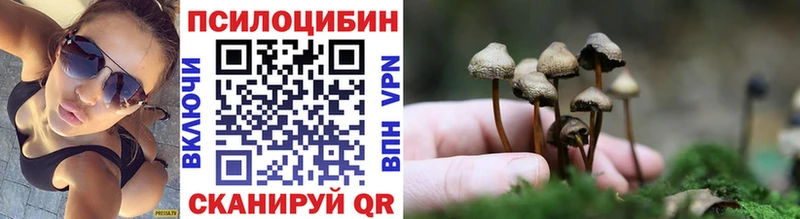 Псилоцибиновые грибы мухоморы  Волхов 