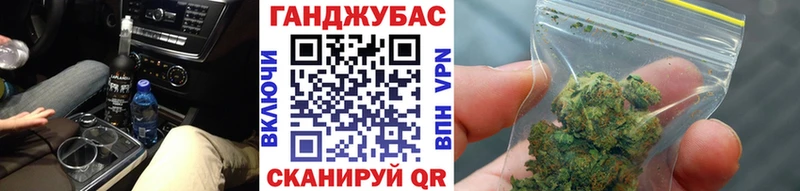 Бошки Шишки SATIVA & INDICA  где купить наркотик  Волхов 